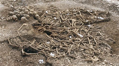 Dorsets Viking Mass Grave Skeletons On Display In London Bbc News