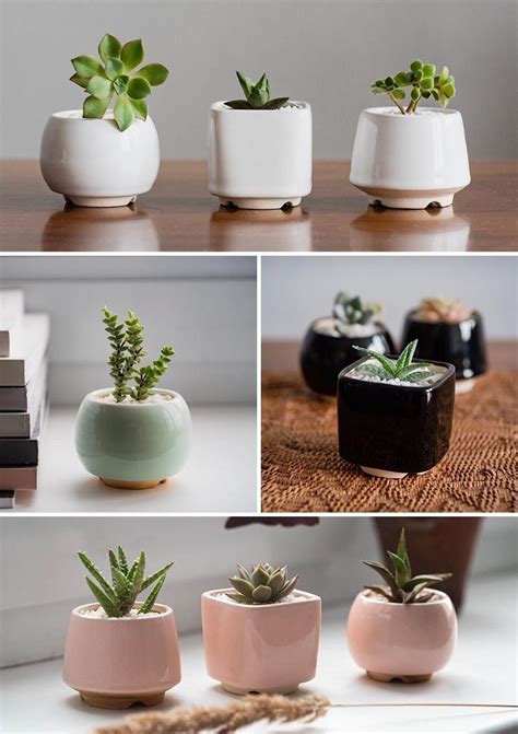 9 Modern Succulent Pots To Show Off Your Tiny Plants Ceramic