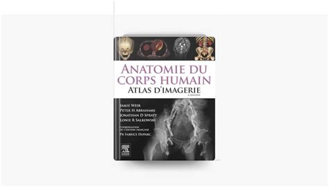 ‎anatomie Du Corps Humain Atlas Dimagerie On Apple Books