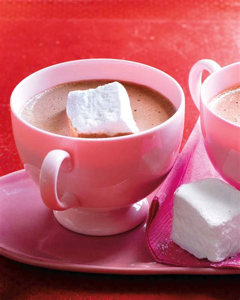 hot chocolate recipes martha stewart