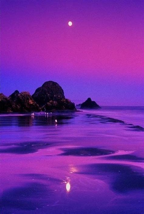 Lovely Purples Beautiful Places Beautiful Landscapes Nature Photography