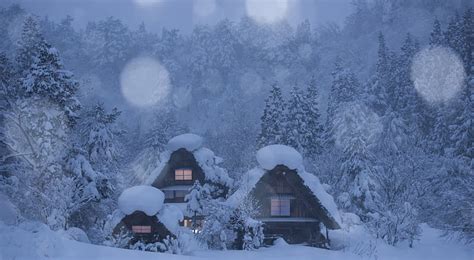 Snowy Chalets Chalets Snow Forest Village Trees Winter Hd