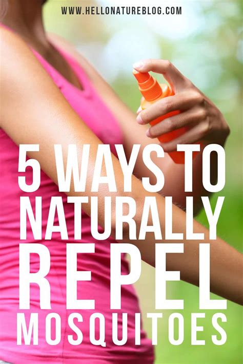 5 Natural Ways To Repel Mosquitoes Mosquito Mosquito Repellent