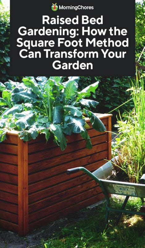 How The Square Foot Raised Bed Gardening Can Transform Your Garden