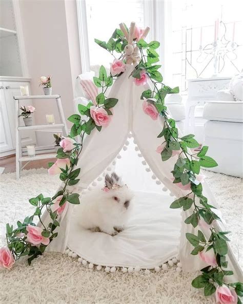 The Coziest Bed On Earth Bunny Room Diy Bunny Cage Pet Bunny Rabbits