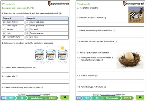 Grade 4 Natural Science Technology Nst Term 2 Oxford Textbook Vrogue