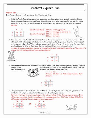 Some of the worksheets for this concept are punnett squares answer key punnett square work bikini. Punnett Square Worksheet 1 - worksheet