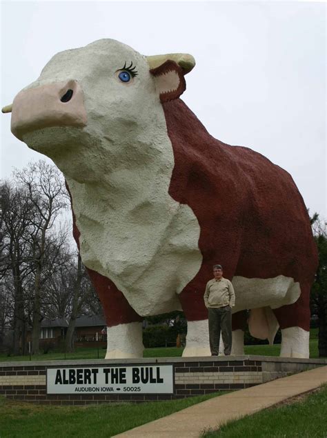 Albert The Worlds Largest Bull Photo Jack Steck Photos At