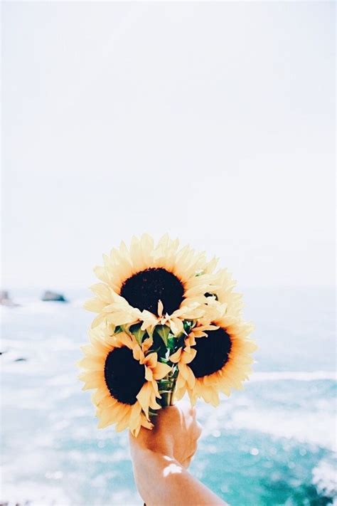 Aesthetic Wallpaper Tumblr Yellow Pics On Pinterest Quotes And