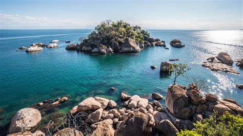 Plongez Au Cœur Du Lac Malawi Véritable Paradis De La Biodiversité