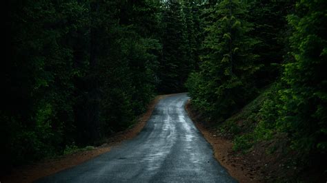 Road Through Forest Wallpaper Iphone Android And Desktop