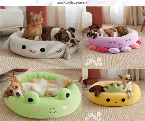 Squishmallow Pet Beds Home Of The Humble Warrior
