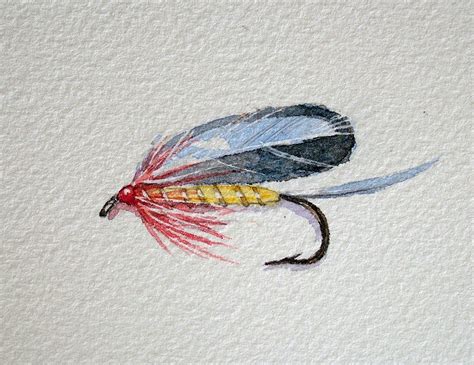 Fly Fishing Art Fishing Lures Art Watercolor Fish
