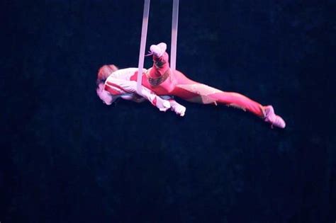 Aerial Straps Circus Acts Circustalk