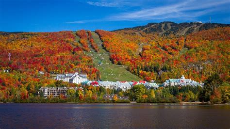 Best Places To Go Admire The Fall Foliage Near Montreal This Weekend ...