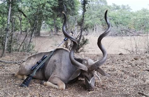 2020 2021 South African Hunting Safari Packages Big Game