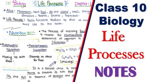 Class Biology Life Processes Notes Class Science Chapter