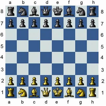 Chess Board Layout Opening Moves Fest