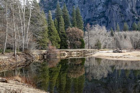 Premium Photo View Of Nature Landscape At Yosemite National Park In