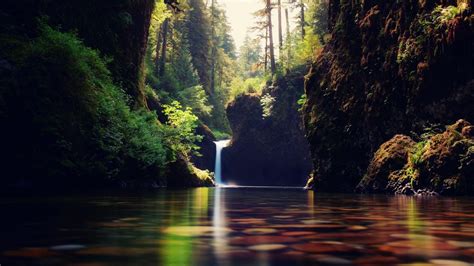 landscape, Nature, Tree, Forest, Woods, Waterfall, River Wallpapers HD ...