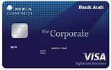 Corporate Visa Card Small Business