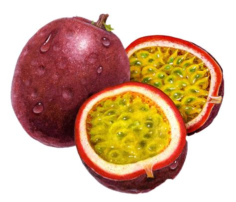 Thinking of growing passion fruits? Happy Farmer wants to train you ...