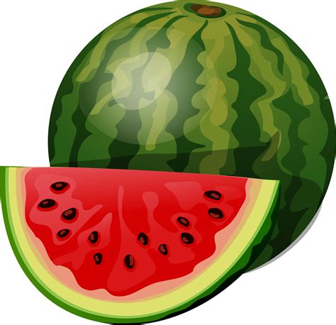watermelon cartoon images get watermelon vector png bodenewasurk