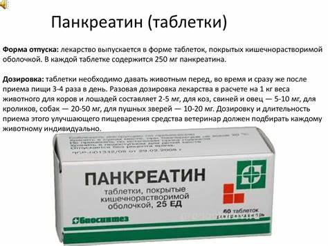 Похудеть принимая панкреатин
