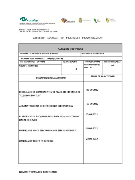 Formato Para Informe Mensual De Practicas Profesionales