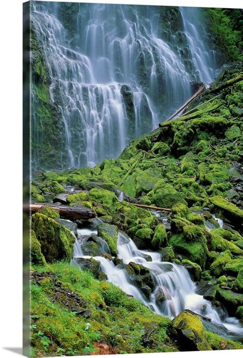 Oregon Willamette Valley Lower Proxy Falls Green Mossy Rocks And