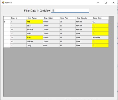 Filtering In Datagridview In Vb Net And Also In C
