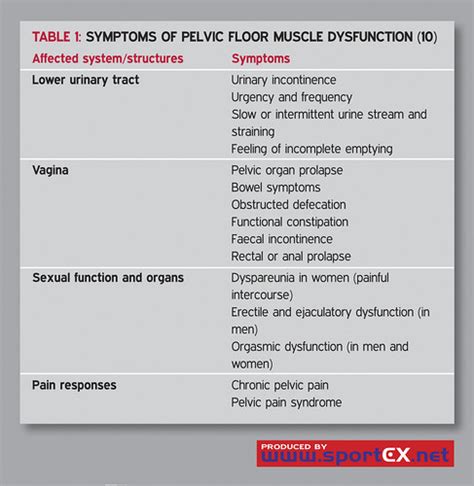 Symptoms Of Pelvic Floor Muscle Dysfunction 10 Sportex M Flickr