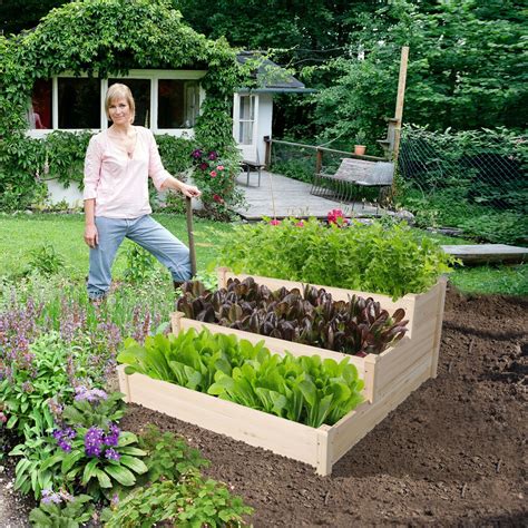 Wooden Raised Garden Bed Planter Box In 2021 Raised Garden Beds Diy