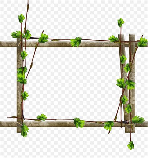Picture Frames Tree Window Wood Branch Png 3108x3315px Picture