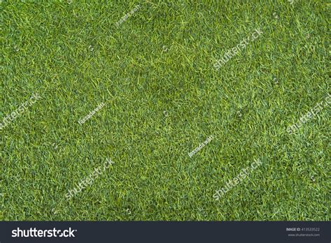 Grass Texture Seamless Images Browse 129095 Stock Photos And Vectors
