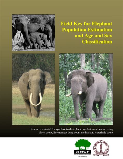 Pdf Field Key For Elephant Population Estimation And Age And Sex Classification