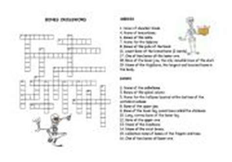 A 13 question printable bone and muscle anatomy crossword with answer key. Bones worksheets