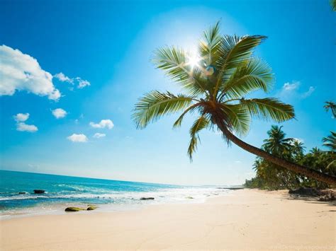 Sunny Beach Wallpapers Live Wallpaper For Pc 1024x768 Desktop Background