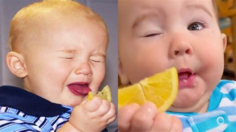 Babies Eating Lemons For The First Time Baby Eat Lemon Funny