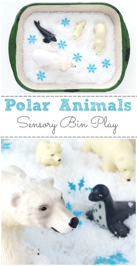 Polar Animals Sensory Bin Inner Child Fun Polar Animals Polar