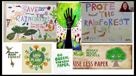 Save The Rainforest Poster Year 2 Youtube