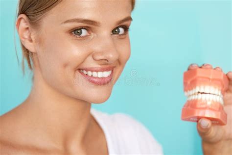 Woman With Beautiful Smile Healthy Teeth Holding Dental Model Stock