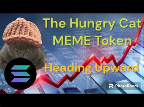 The Hungry Cat Meme Token Is One To Watch Youtube