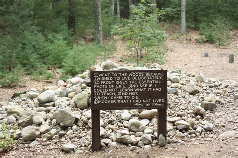 We did not find results for: Thoreau's Cabin Site | The Walden Woods Project