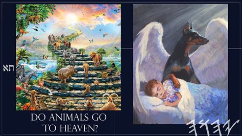 Do Animals Go To Heaven Youtube
