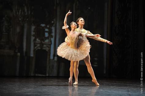Alina Cojocaru And Sergei Polunin In The Grand Pas De Deux From The Sleeping Beauty Photo C