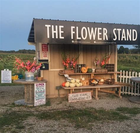The Flower Stand Is Best U Pick Flower Farm In Buffalo