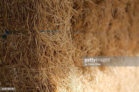 Hay Bale String Photos And Premium High Res Pictures Getty Images