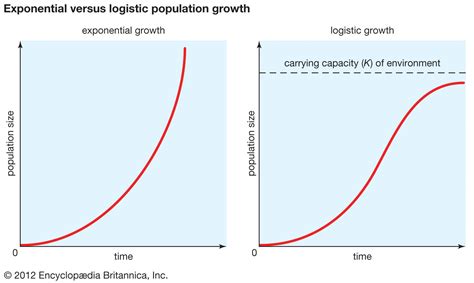 Exponential Growth Statistics Britannica