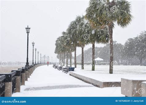 2018 Snowstorm In Charleston Sc Editorial Photo Image Of Park